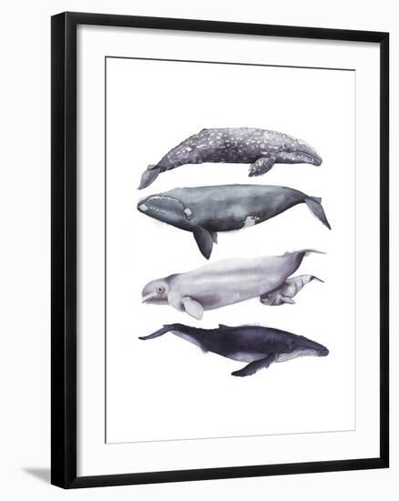 Whale Stack I-Grace Popp-Framed Art Print