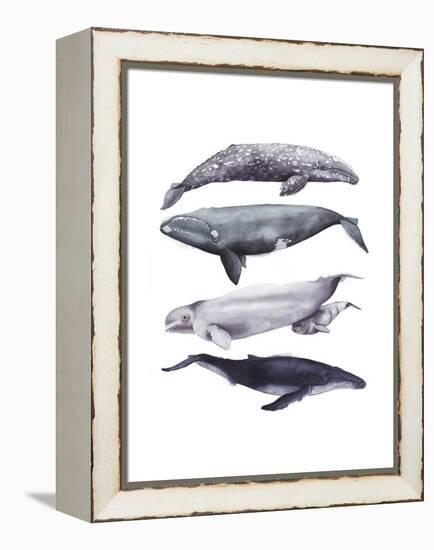 Whale Stack I-Grace Popp-Framed Stretched Canvas