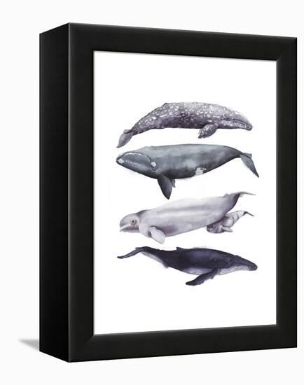 Whale Stack I-Grace Popp-Framed Stretched Canvas