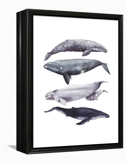 Whale Stack I-Grace Popp-Framed Stretched Canvas