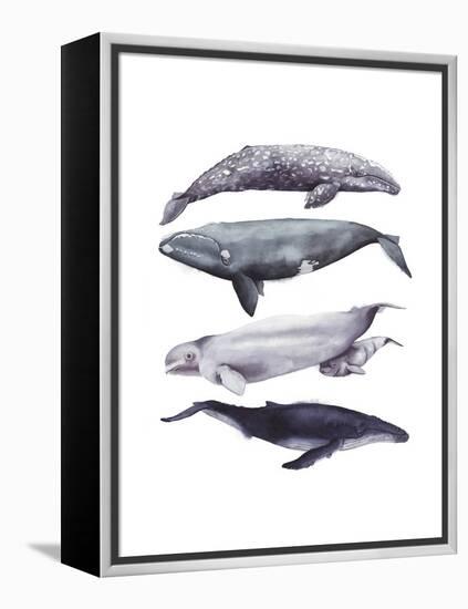 Whale Stack I-Grace Popp-Framed Stretched Canvas