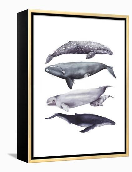 Whale Stack I-Grace Popp-Framed Stretched Canvas