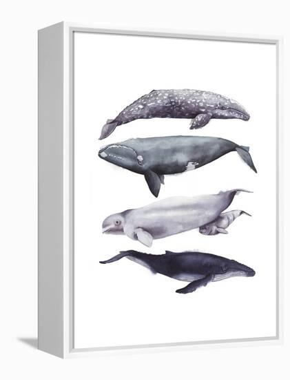 Whale Stack I-Grace Popp-Framed Stretched Canvas