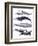 Whale Stack II-Grace Popp-Framed Premium Giclee Print