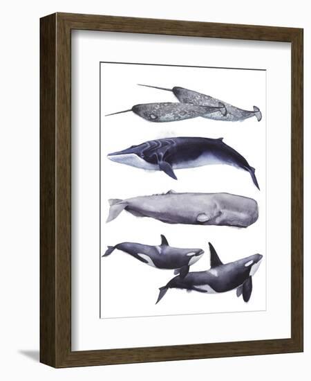 Whale Stack II-Grace Popp-Framed Premium Giclee Print