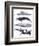 Whale Stack II-Grace Popp-Framed Premium Giclee Print