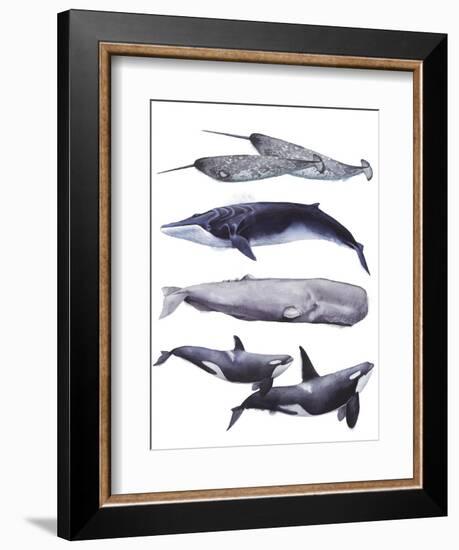 Whale Stack II-Grace Popp-Framed Premium Giclee Print