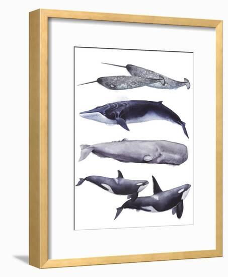 Whale Stack II-Grace Popp-Framed Art Print