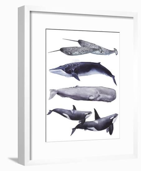 Whale Stack II-Grace Popp-Framed Art Print