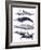 Whale Stack II-Grace Popp-Framed Art Print