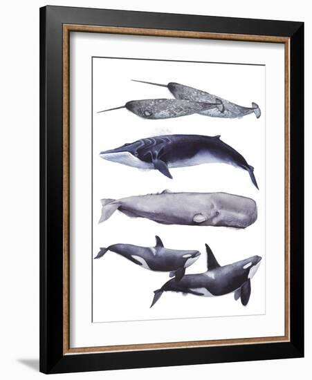 Whale Stack II-Grace Popp-Framed Art Print