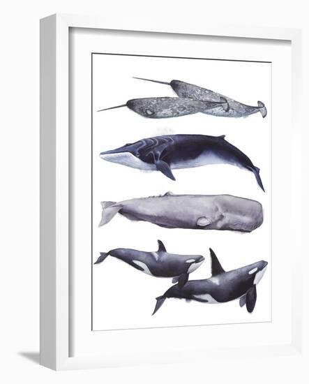 Whale Stack II-Grace Popp-Framed Art Print