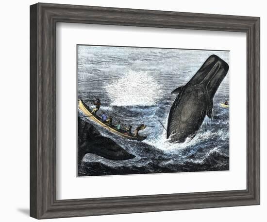 Whale Struck by a Harpoon While Breaching, c.1800-null-Framed Giclee Print