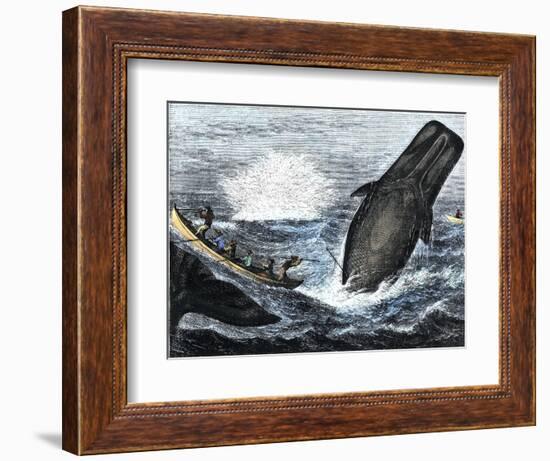 Whale Struck by a Harpoon While Breaching, c.1800-null-Framed Giclee Print