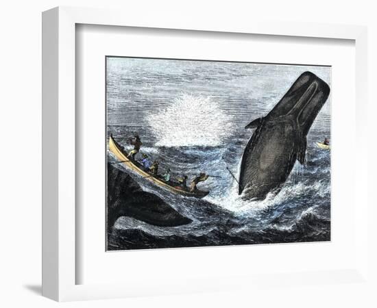 Whale Struck by a Harpoon While Breaching, c.1800-null-Framed Giclee Print