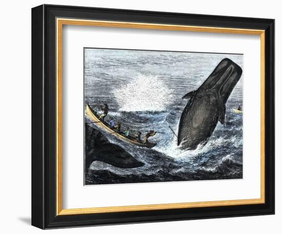 Whale Struck by a Harpoon While Breaching, c.1800-null-Framed Giclee Print