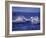 Whale Tail, Alaska, USA-Amos Nachoum-Framed Photographic Print