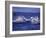 Whale Tail, Alaska, USA-Amos Nachoum-Framed Photographic Print