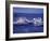 Whale Tail, Alaska, USA-Amos Nachoum-Framed Photographic Print