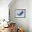 Whale-null-Framed Giclee Print displayed on a wall