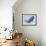 Whale-null-Framed Giclee Print displayed on a wall