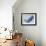 Whale-null-Framed Giclee Print displayed on a wall