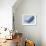 Whale-null-Framed Giclee Print displayed on a wall