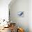 Whale-null-Framed Premier Image Canvas displayed on a wall