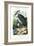 Whalehead, 1863-79-Raimundo Petraroja-Framed Giclee Print