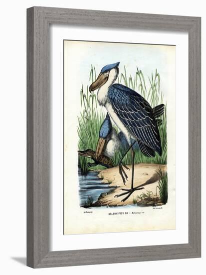 Whalehead, 1863-79-Raimundo Petraroja-Framed Giclee Print