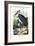 Whalehead, 1863-79-Raimundo Petraroja-Framed Giclee Print