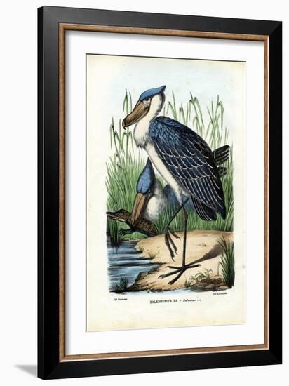 Whalehead, 1863-79-Raimundo Petraroja-Framed Giclee Print