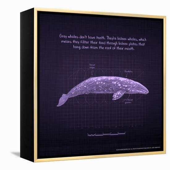 Whaleprint II-null-Framed Stretched Canvas