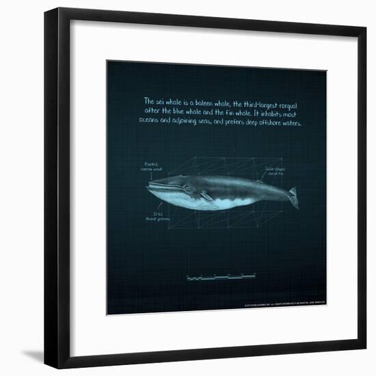 Whaleprint III-null-Framed Art Print