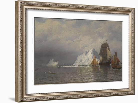 Whaler and Fishing Vessels Near the Coast of Labrador, C.1880-William Bradford-Framed Giclee Print