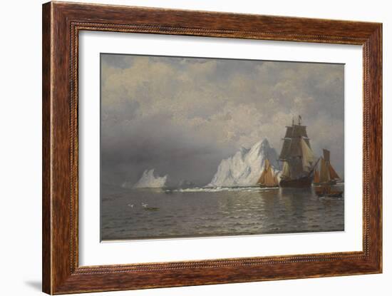 Whaler and Fishing Vessels Near the Coast of Labrador, C.1880-William Bradford-Framed Giclee Print