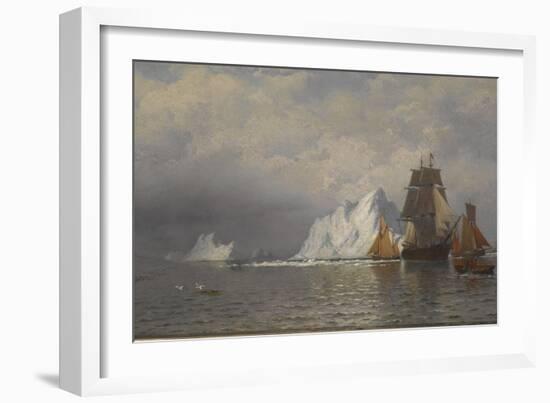 Whaler and Fishing Vessels Near the Coast of Labrador, C.1880-William Bradford-Framed Giclee Print