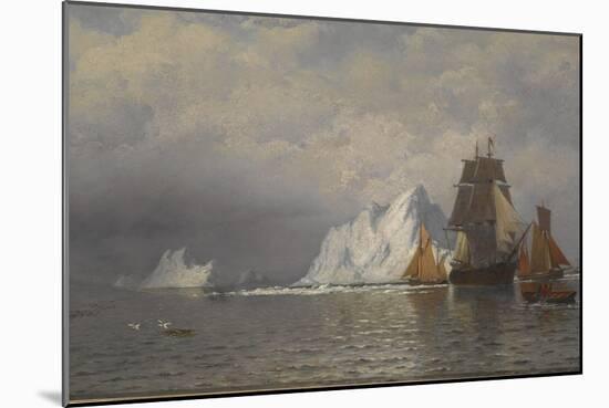 Whaler and Fishing Vessels Near the Coast of Labrador, C.1880-William Bradford-Mounted Giclee Print