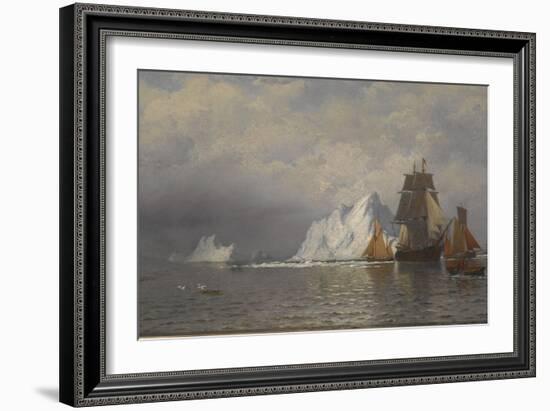 Whaler and Fishing Vessels Near the Coast of Labrador, C.1880-William Bradford-Framed Giclee Print