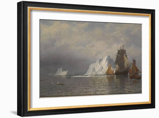 Whaler and Fishing Vessels Near the Coast of Labrador, C.1880-William Bradford-Framed Giclee Print