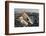 Whalers' Graves, Deadman Island, Nunavut, Canada-Paul Souders-Framed Photographic Print