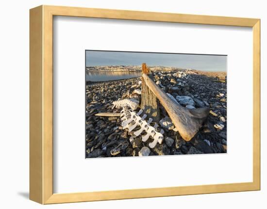 Whalers' Graves, Deadman Island, Nunavut, Canada-Paul Souders-Framed Photographic Print