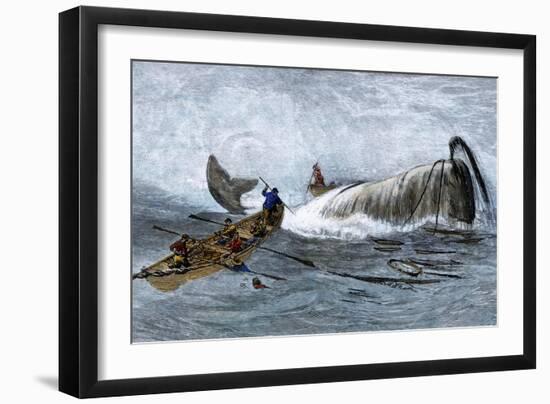 Whalers in Longboats Lancing a Whale with Harpoons, 1800s-null-Framed Giclee Print