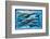 Whales and Dolphins for Kids-null-Framed Premium Giclee Print