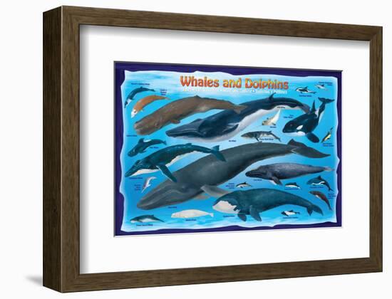 Whales and Dolphins for Kids-null-Framed Premium Giclee Print