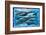 Whales and Dolphins for Kids-null-Framed Art Print