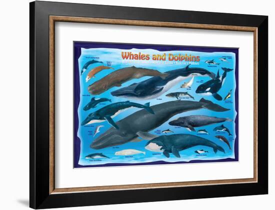 Whales and Dolphins for Kids-null-Framed Art Print