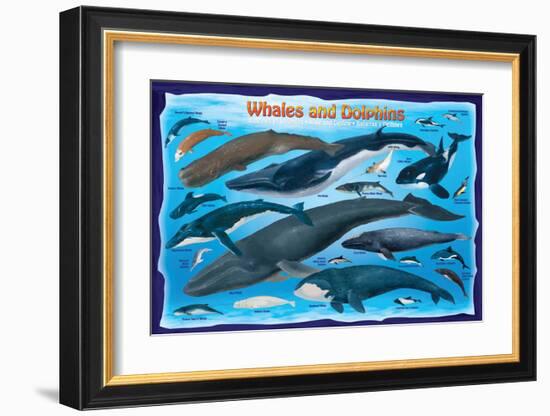 Whales and Dolphins for Kids-null-Framed Art Print