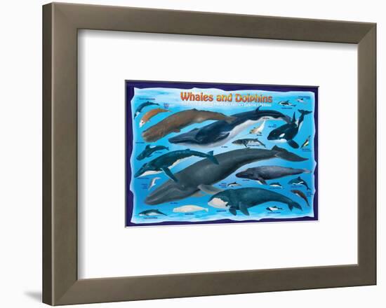 Whales and Dolphins for Kids-null-Framed Art Print