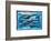 Whales and Dolphins for Kids-null-Framed Art Print